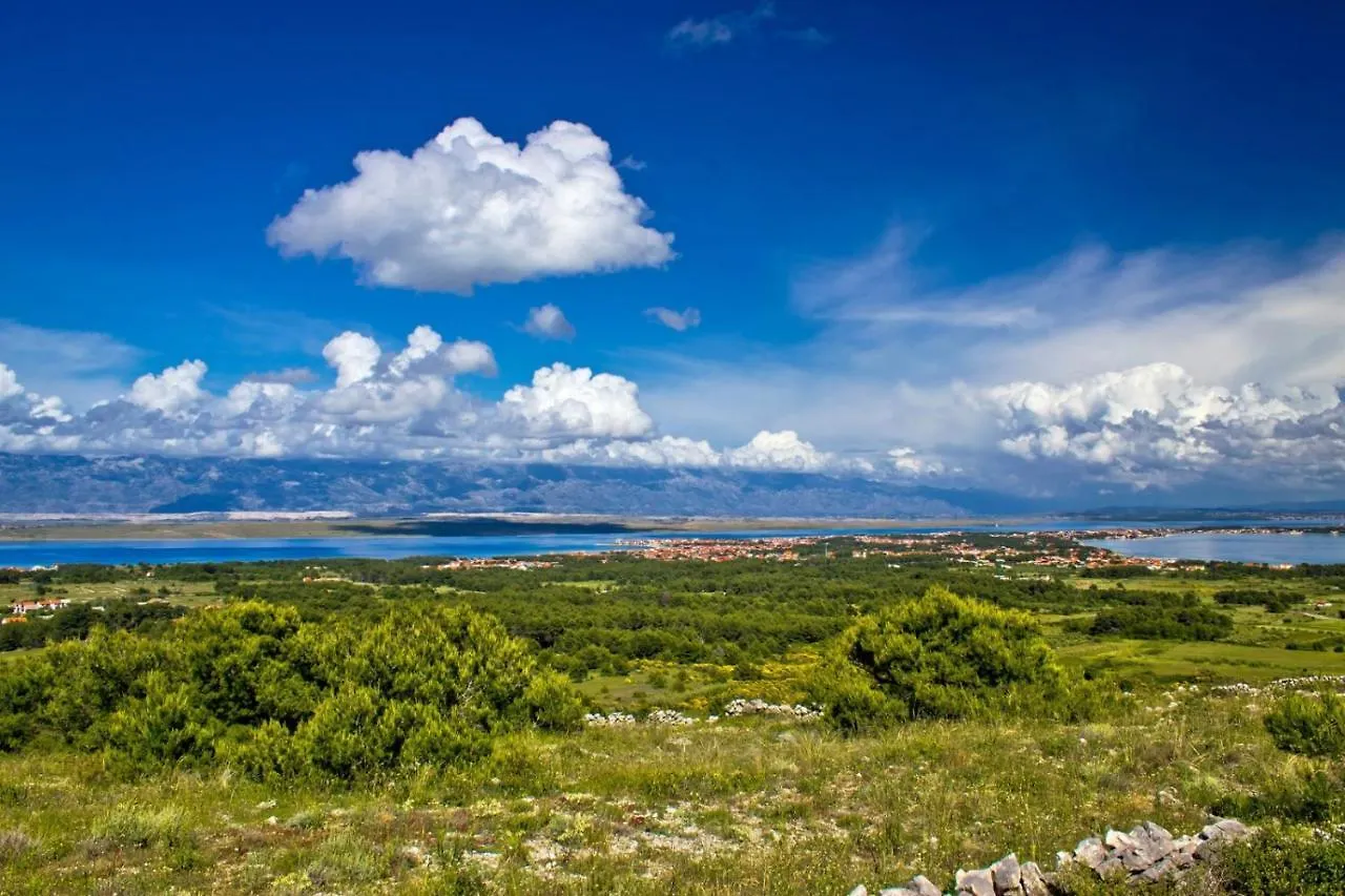Apartment In Vir With Sea View, Terrace, Air Conditioning, Wifi 4472-2 0*,  Kroatien